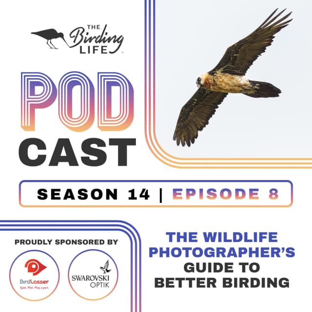TBL Podcast - Season 14 Episode 8  - The Wildlife Photographer's Guide to Better Birding