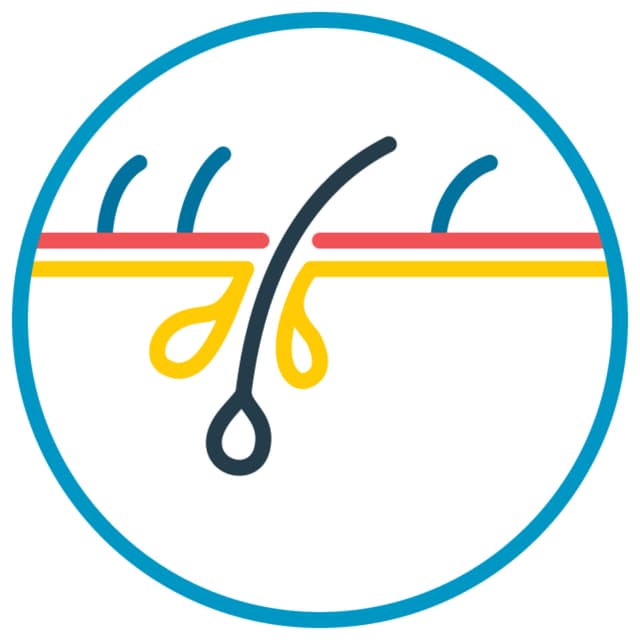 Beyond Alopecia: Advancing Pediatric Hair Disorders Research