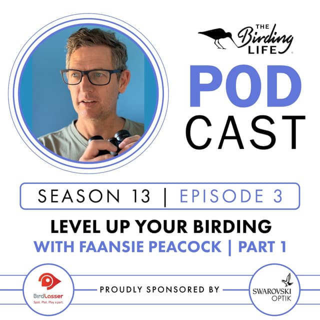 TBL Podcast - Season 13 Episode 3 - Level Up Your Birding with Faansie Peacock Pt 1