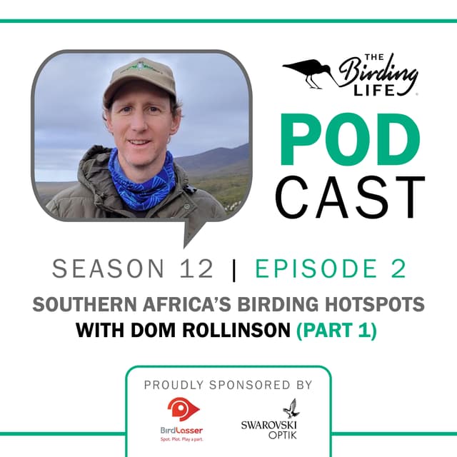 TBL Podcast Season 12 Episode 2 - Southern Africa’s Birding Hotspots with Dom Rollinson (Part 1)