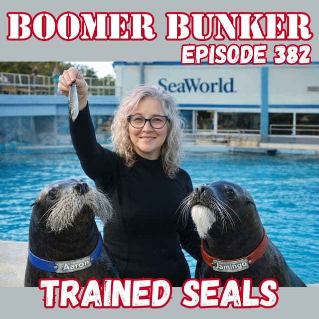 Trained Seals | 382