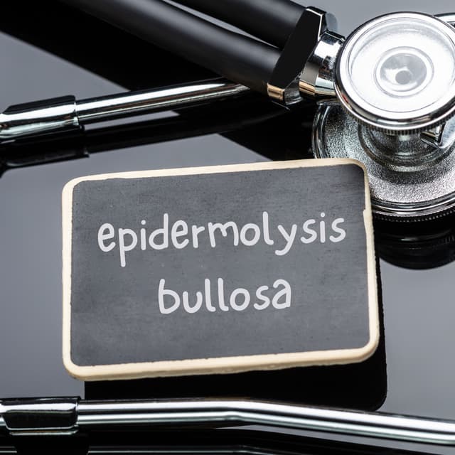 The Evolving Research Landscape in Epidermolysis Bullosa