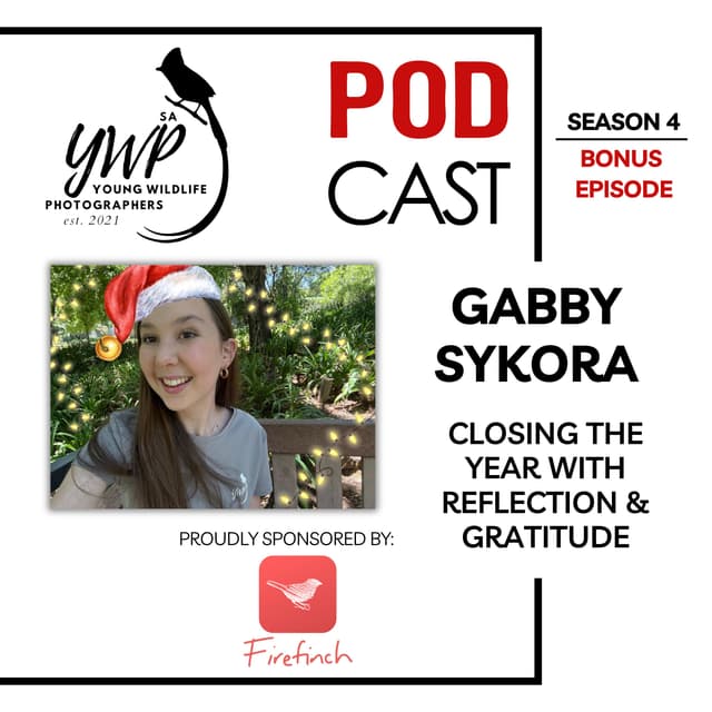 YWP Podcast - Season 4 Bonus Episode: Closing the Year with Reflection & Gratitude