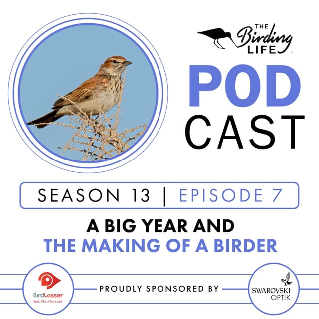 TBL Podcast - Season 13 Episode 7 - A Big Year and the Making of a Birder