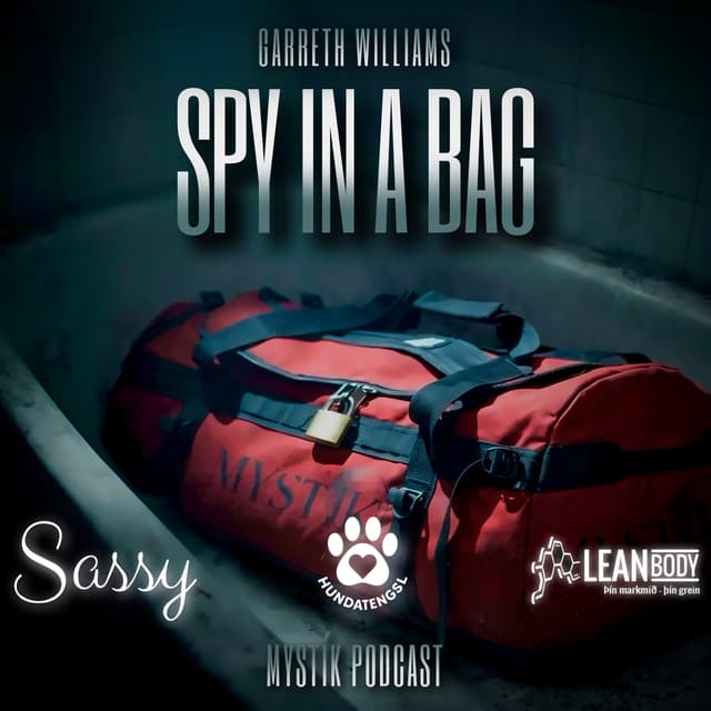 DULARFULLT: SPY IN A BAG 🎒