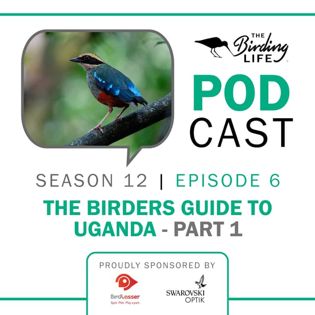 TBL Podcast Season 12 Episode 6 -The Birders Guide to Uganda Part 1