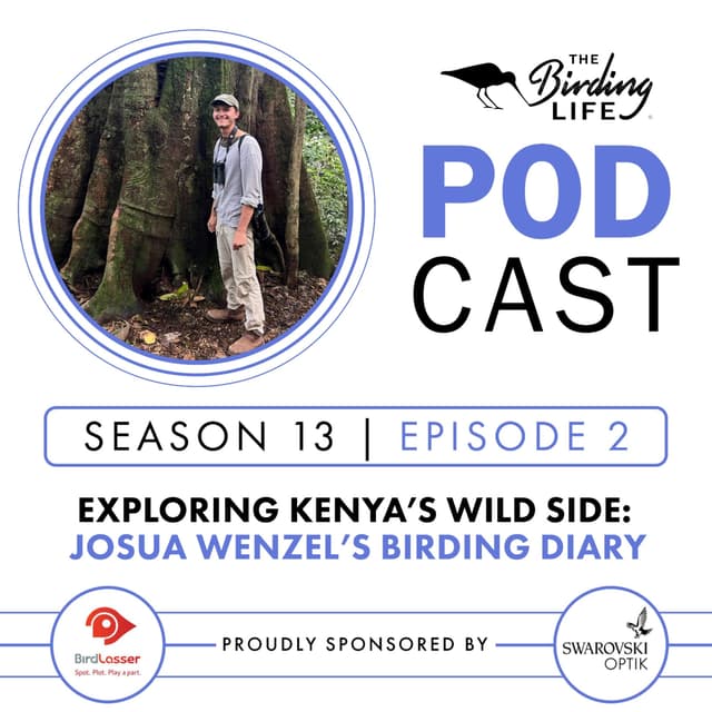 TBL Podcast - Season 13 Episode 2 - Exploring Kenya’s Wild Side: Josua Wenzel’s Birding Diary