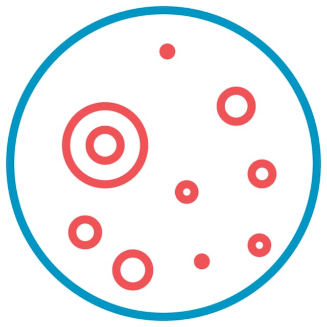 Not Just Small Adults: Rethinking Acne and HS Care for Kids and Teens
