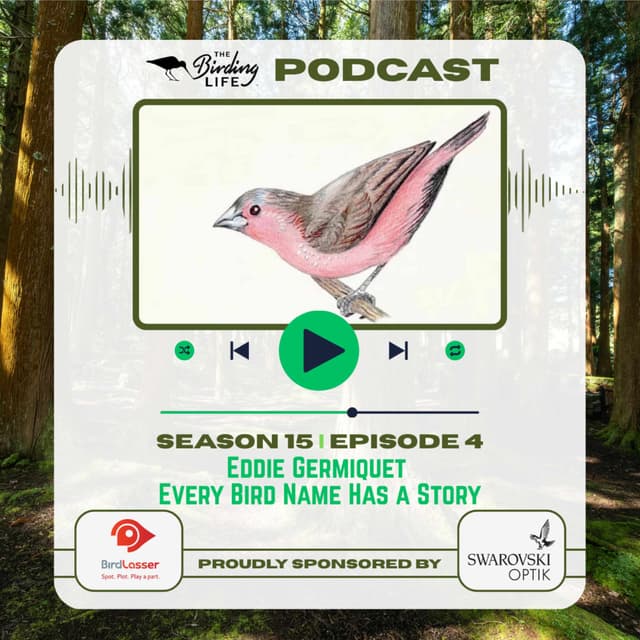 TBL Podcast - Season 15 Episode 4 - Eddie Germiquet: Every Bird Name Has a Story