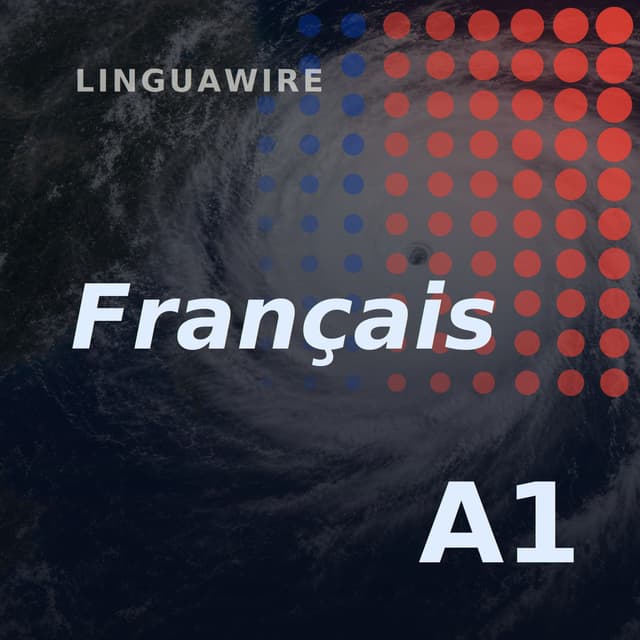 A1 French News | Typhoon Bavi Forces Millions to Flee