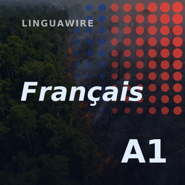 A1 French News | Brazil's Amazon Burns Far Less in 2025