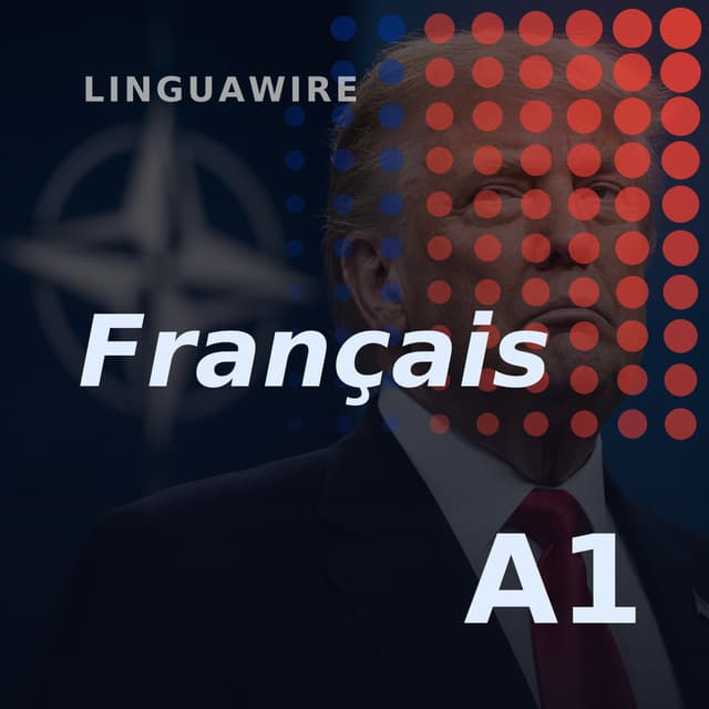 A1 French News | Can Trump Shake Up Nato Again?