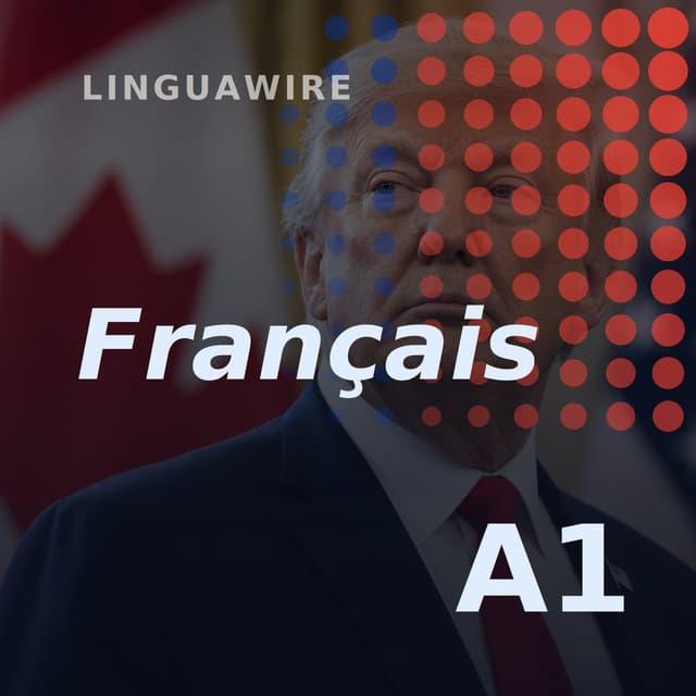 A1 French News | Canada's Dairy Sector Faces Trump's Tariff Fight