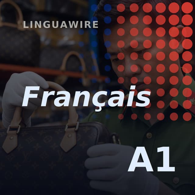 A1 French News | Vietnam Faces Pressure Over Fake Luxury Goods