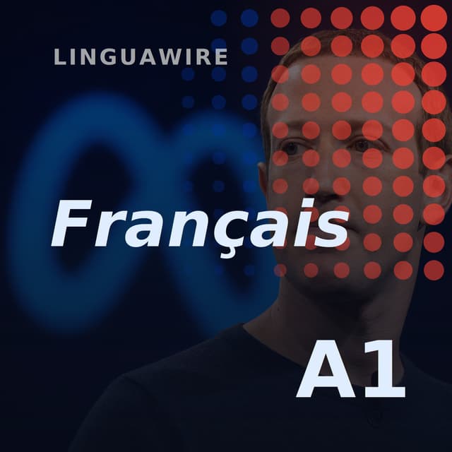 A1 French News | Why Meta Pulled Its New AI Image Tool