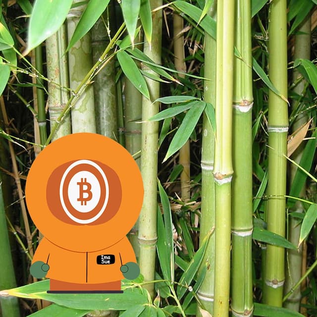 Bitcoin Blast From The Past | Episode 1
