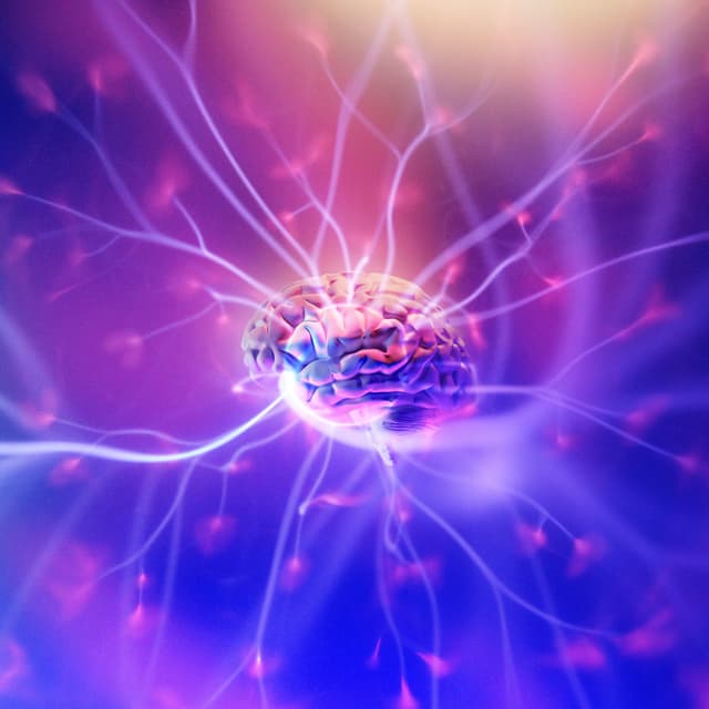 2025 Guest Thought Experiments