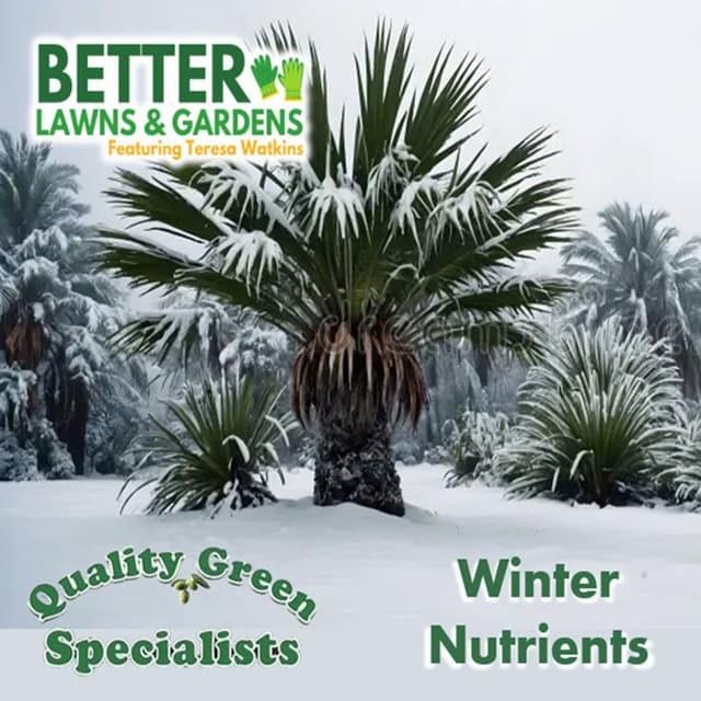 Better Lawns and Gardens - Hour 1 Winter Nutrients Jan 17 2026