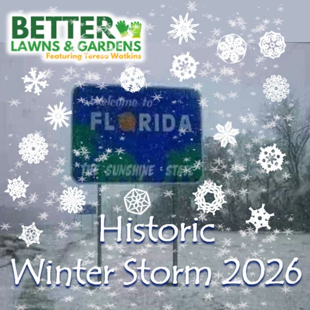 Better Lawns and Gardens - Hour 1 Historic Winter Storm January 31 2026