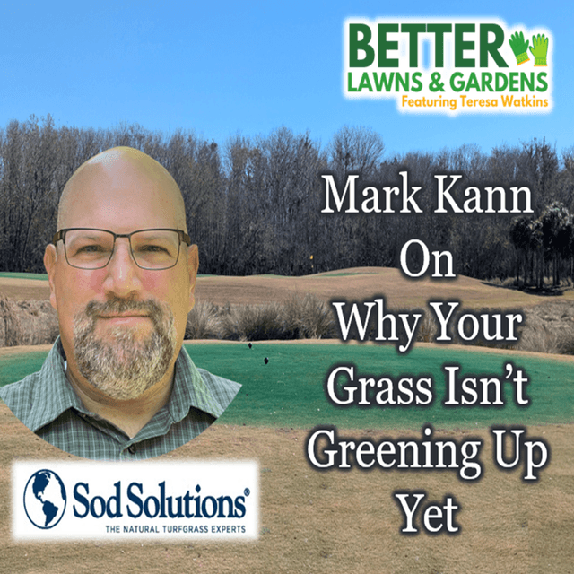 Better Lawns and Gardens - Hour 2 Why Isn't My Lawn Greening Up? February 28, 2026