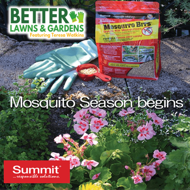 Better Lawns and Gardens - Hour 2 Mosquito Season Begins March 6, 2026