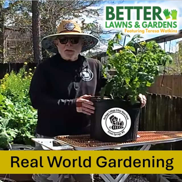 Better Lawns and Gardens Hour 2 Gary Bachman Container Tomatoes March 28, 2026