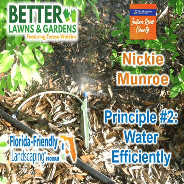 Better Lawns and Gardens - Hour 1 FFL Nicki Munroe April 11, 2026