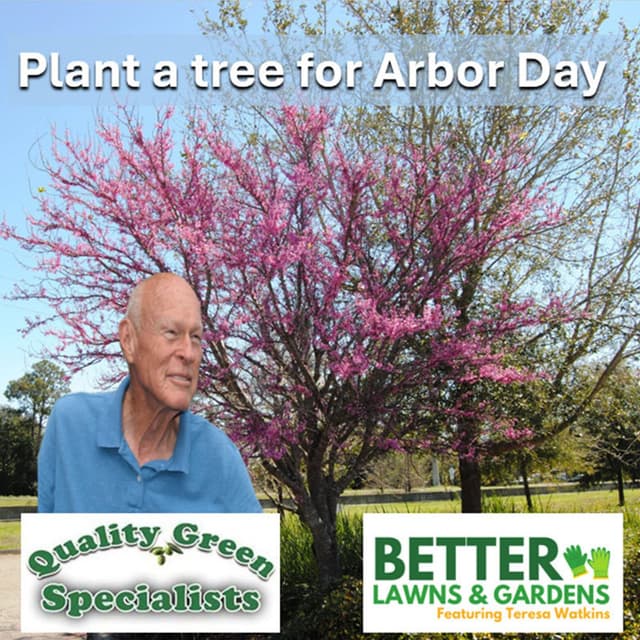 Better Lawns and Gardens - Hour 1 Native Trees For Arbor Day April 18 2026