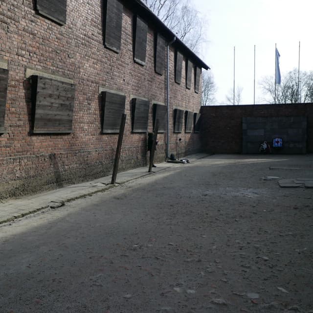 Holding Death Wall