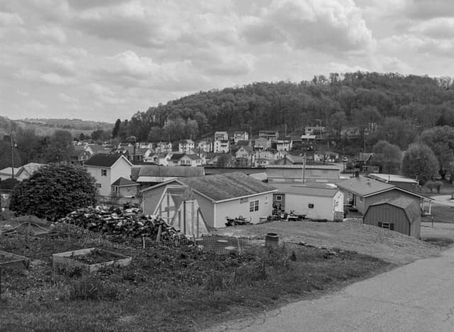 Migrant bird crisis