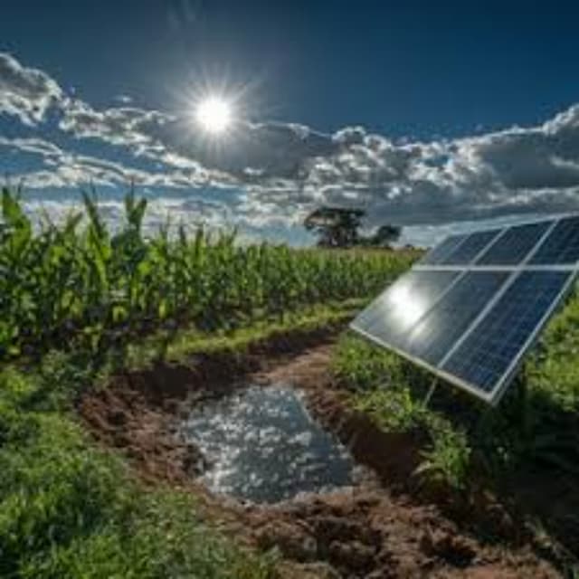 Episode 425: Hopesick