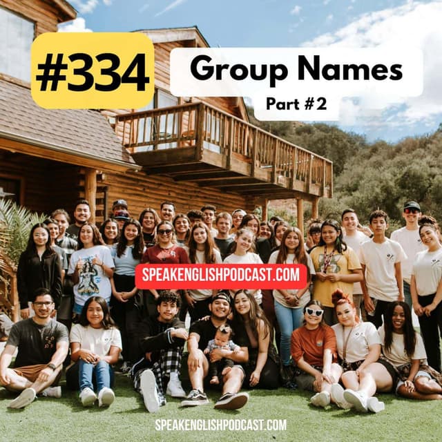 #334 Funny Group Names - Collective Nouns 2