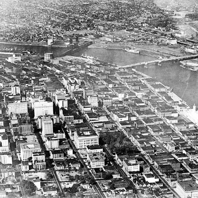 Episode 410: The Family Agenda (w/ special guests Olivia Katbi and Mitch Green)