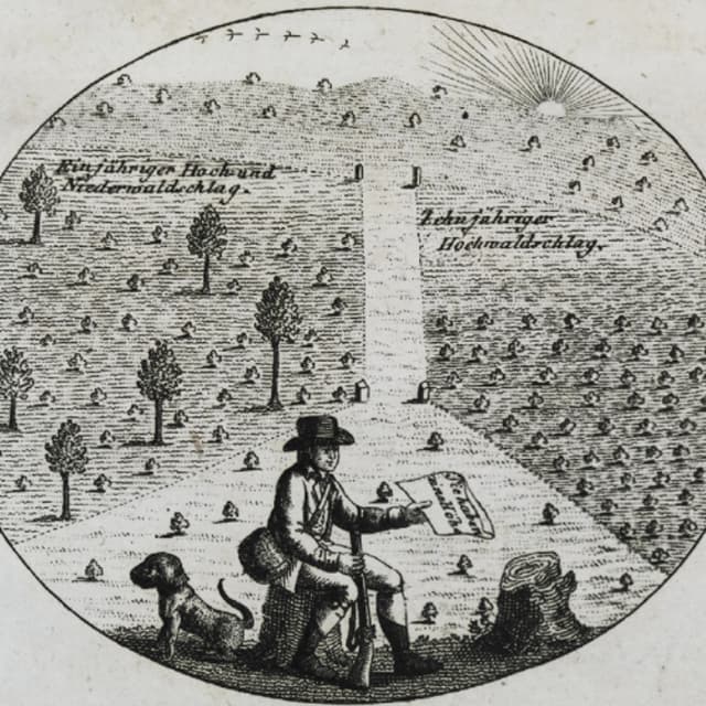 Episode 422: Bargain Bin Futures