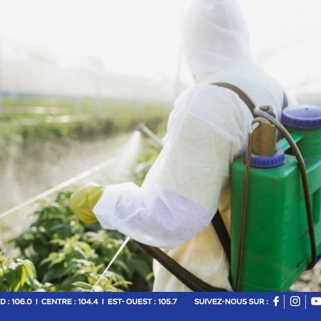 Pesticides : un taux de chlorothalonil 317,5 fois supérieur à la limite détecté dans un légume