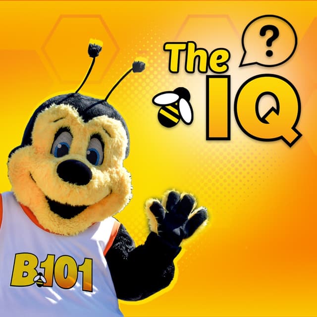 IQ | 4.22.26 | $404