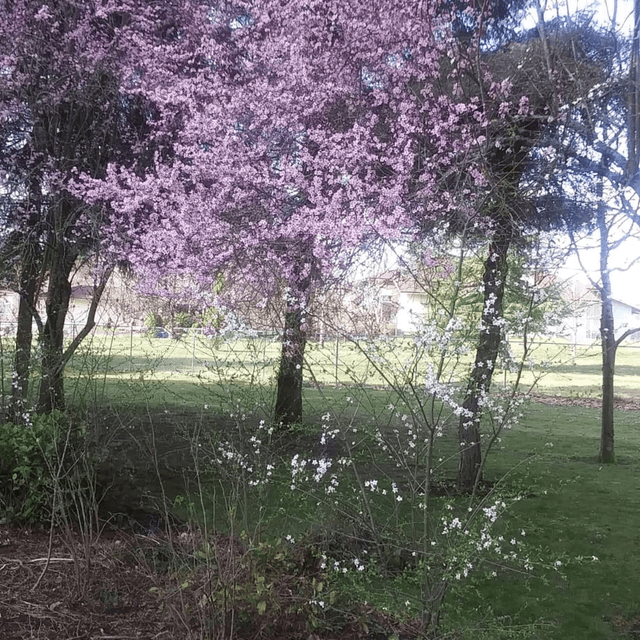 ITS YOUR SILKY SMOOTH JAZZ on  108.3 WGKSRADIO Show 2638