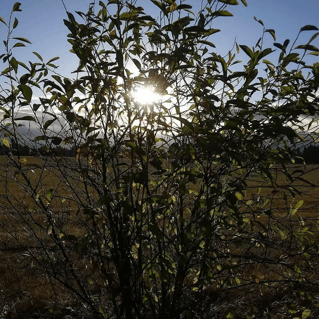 GRAB A COCKTAIL, ITS SILKY SMOOTH JAZZ! 108.3 WGKSRADIO show 2675