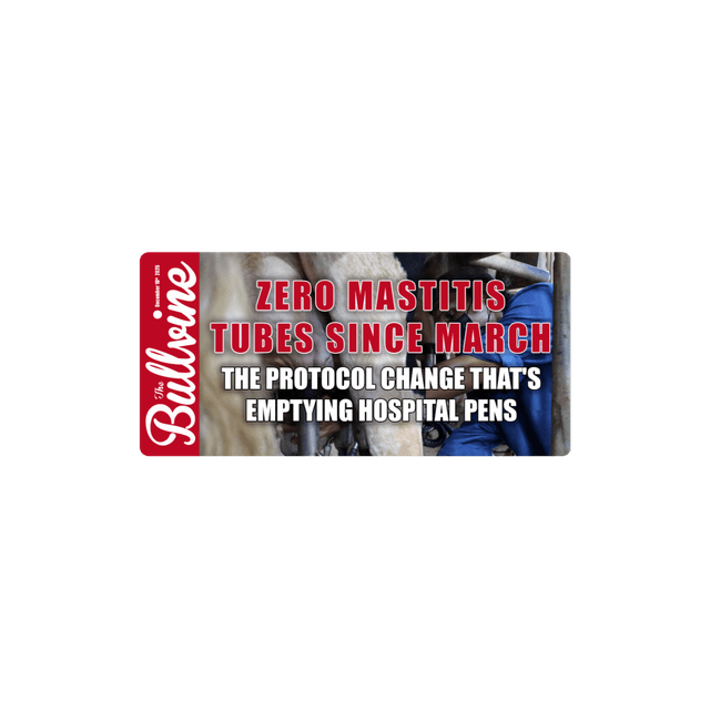 E444 Zero Mastitis Tubes Since March: The Protocol Change That’s Emptying Hospital Pens