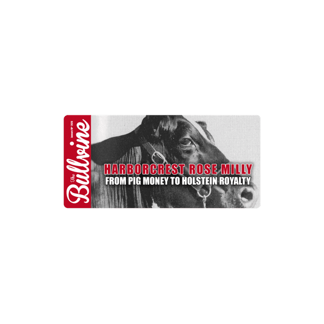 E460 Harborcrest Rose Milly: From Pig Money to Holstein Royalty