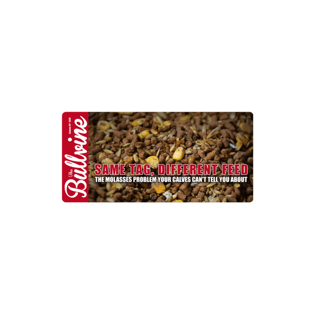 E464 Same Tag, Different Feed: The Molasses Problem Your Calves Can’t Tell You About