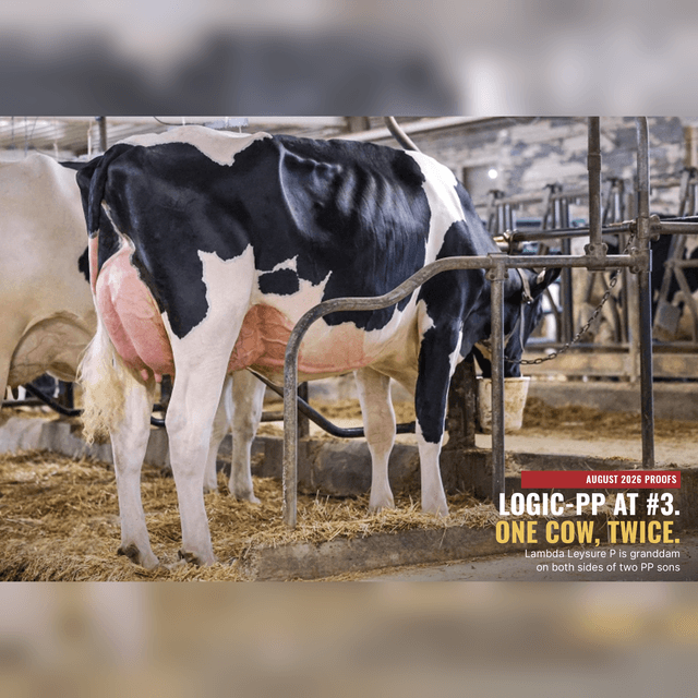 E667 Logic-PP’s August 2026 Proof: 3909 LPI, and Two PP Sons Out of His Own Half-Sister