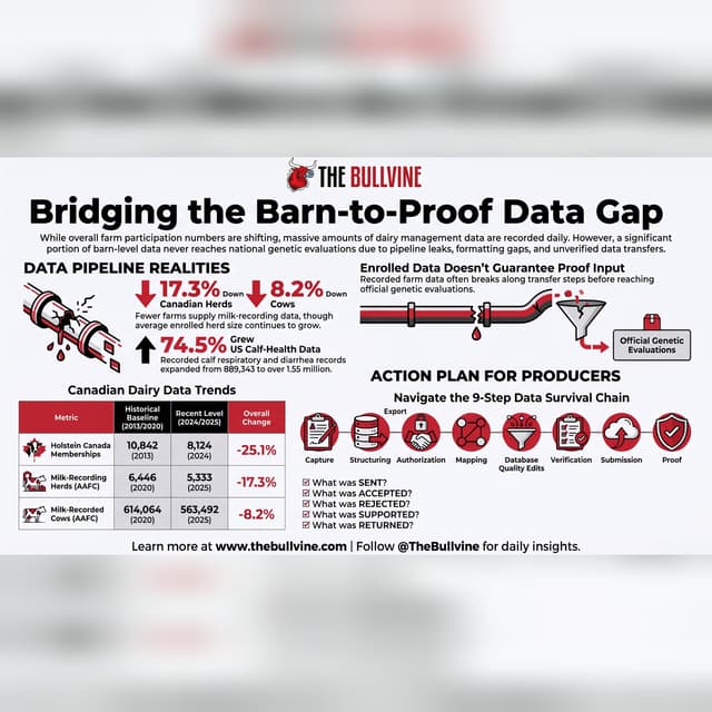 E670 Dairy Data Pipeline: Milk Recording Herds Fell 17.3% Since 2020, Cows Just 8.2%. What Reaches the Proof?