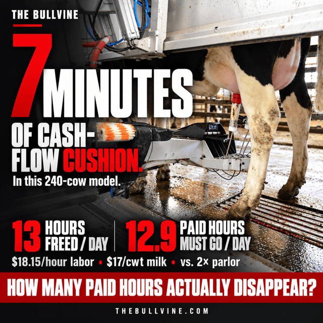 E675 Robot Milking ROI: Why 13 Saved Hours Only Yields 7 Minutes of Slack