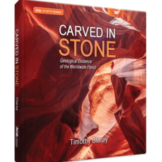 Dinosaurs, Fossils and Carved in Stone w/ Dr Timothy Clarey