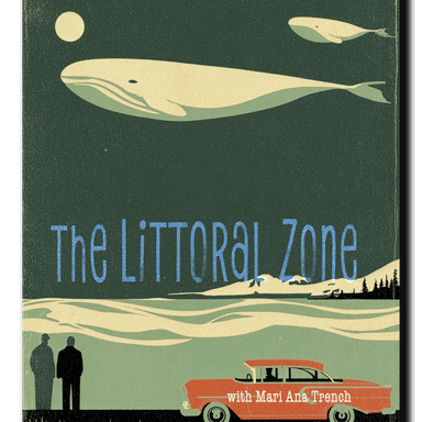 The Littoral Zone