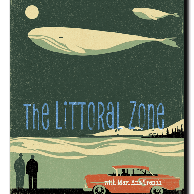 The Littoral Zone