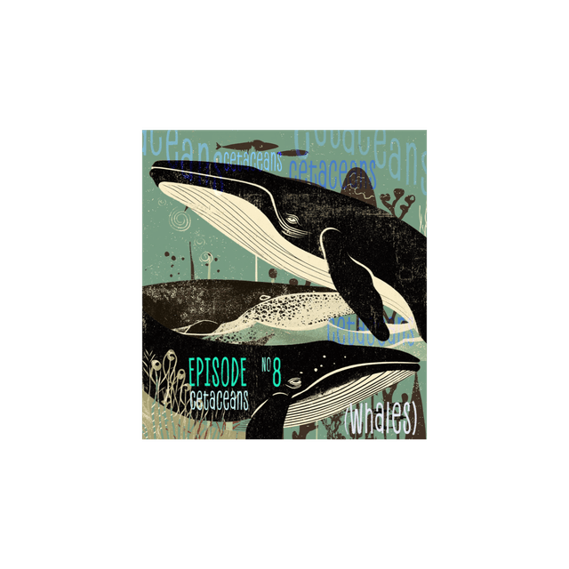 Cetaceans (Whales)