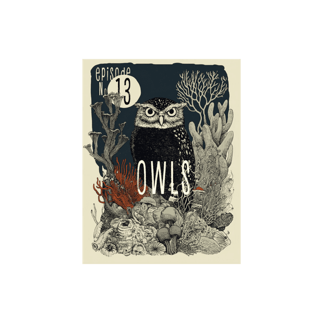 Owls