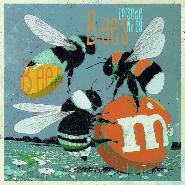 Are the Bees Okay?